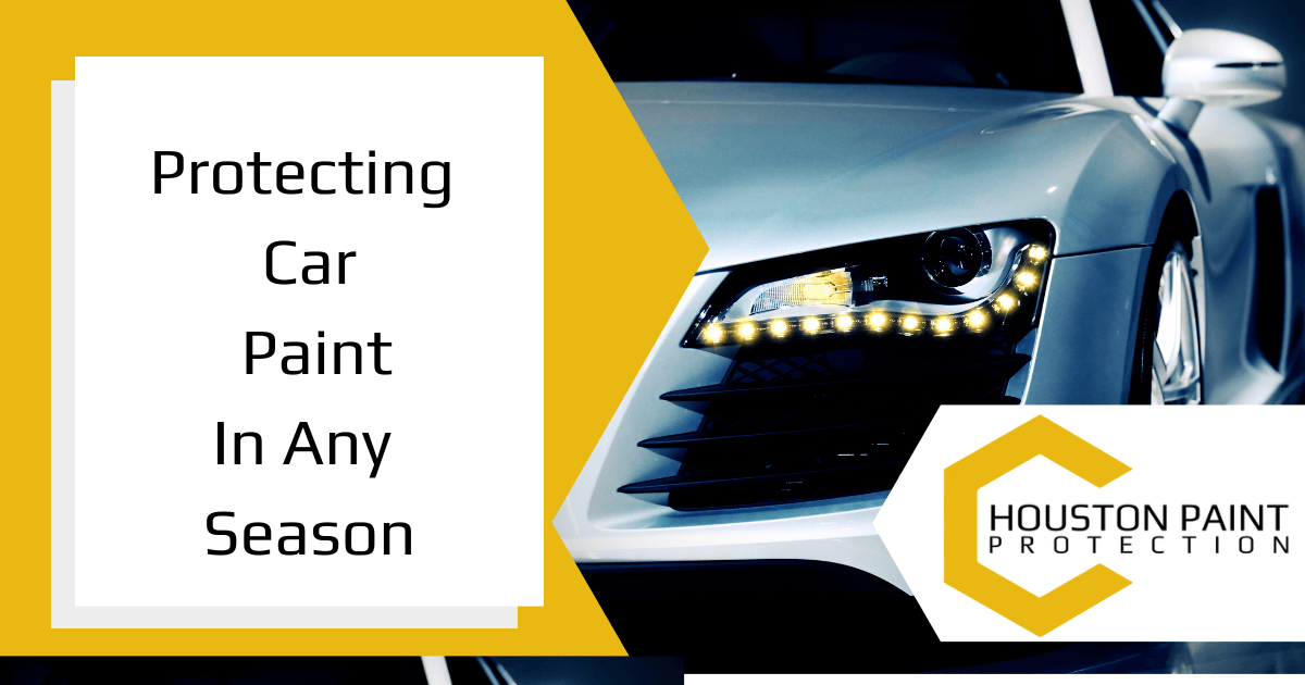 Protecting Car Paint in any Season