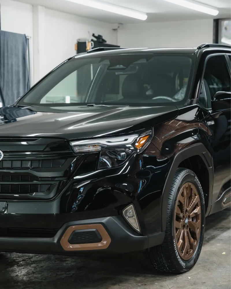 paint protection film