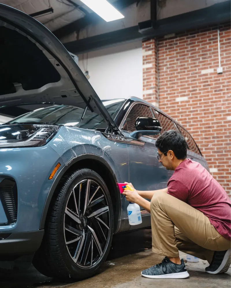 paint protection film
